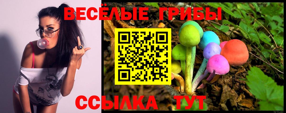 Донецк  Галлюциногенные грибы Psilocybine cubensis  Галлюциногенные грибы Magic Shrooms  Вход с VPN 